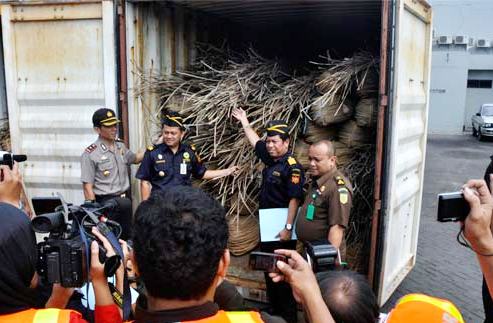 Rotan, Nilai Ekspornya Diprediksi Tumbuh 25% di 2013